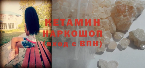 шишки Дмитриев