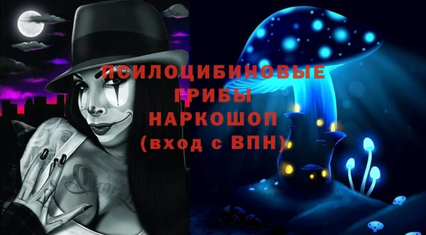 шишки Дмитриев