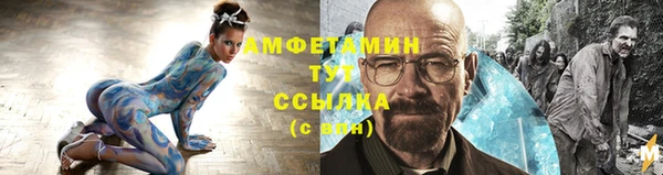 шишки Дмитриев