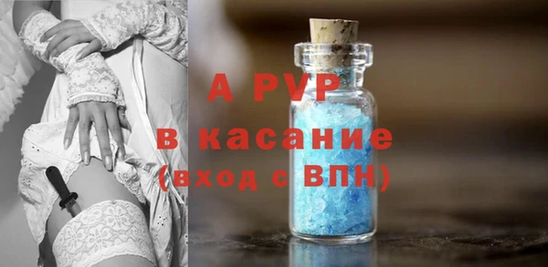 шишки Дмитриев