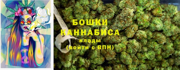 шишки Дмитриев