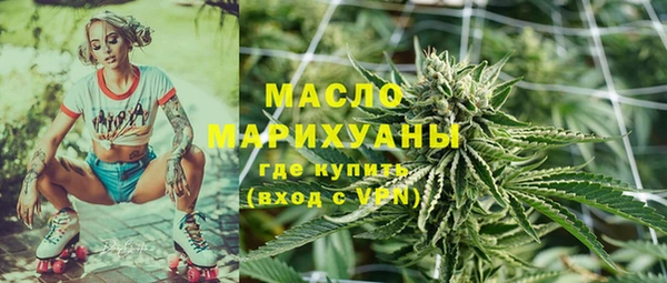 шишки Дмитриев