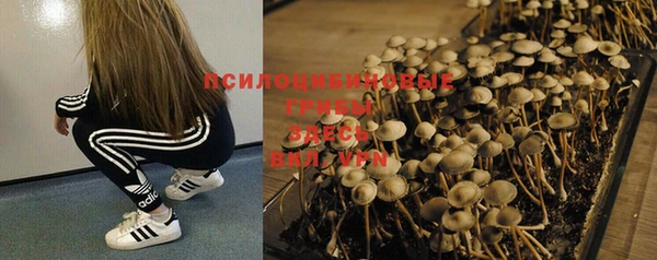 прущая мука Дмитров