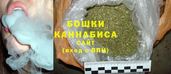 шишки Дмитриев
