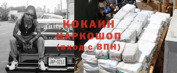 шишки Дмитриев